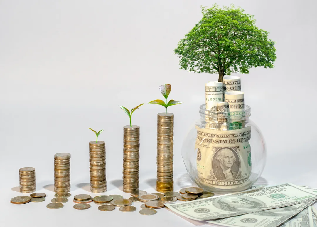 Oficina de Zasz Accounting en Sarasota y Bradenton